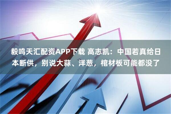 毅鸣天汇配资APP下载 高志凯：中国若真给日本断供，别说大蒜、洋葱，棺材板可能都没了