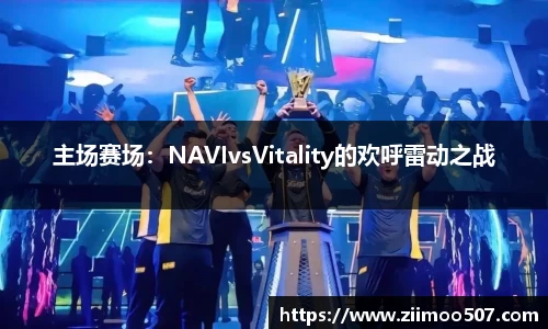 主场赛场：NAVIvsVitality的欢呼雷动之战